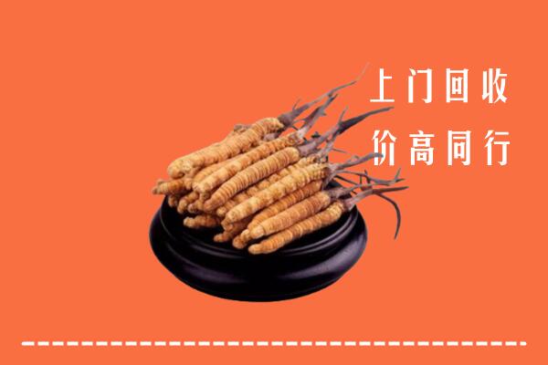 高价求购：萨迦县回收散虫草