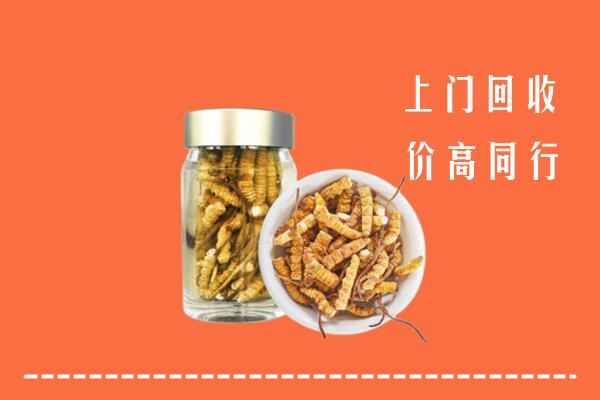 萨迦县回收冬虫夏草